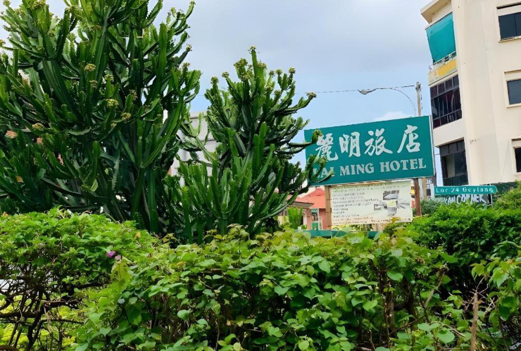 Lai Ming Cosmoland 3* Singapur